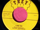 ELTON ANDERSON - I Love You / Want a Come Back Home - clean 45 rpm - Trey 1002