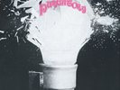 The Mystery Lights Purgatory (Vinyl) 12