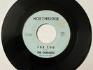 The Charades 1962 DOO WOP 45 For You / Surf N’ Stomp NORTHRIDGE Strong VG+ HEAR