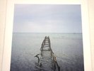 John Patitucci – Irmãos De Fé  	Newvelle Records NV007LP  Doug Ramsey Library