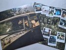 Blacktop Mojo: Pollen Vinyl LP: Limited Edition & Signed