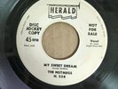 GREAT DOO WOP 45 DJ BY THE FANTASTIC 