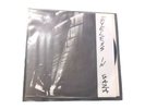 Eyeless In Gaza Kodak Ghosts Run Amok 7 Inch Vinyl Record Ambivalent Records