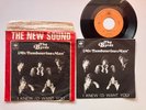 The Byrds Mr. tambourine man + PS RARE ITALY w/ Bob Dylan /Byrds Outer Bag