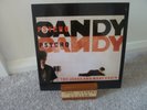 JESUS & MARY CHAIN - PSYCHOCANDY - 2ND PRESS LP W/POLY INNER (1986) - EX/VG+
