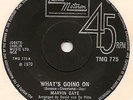 Marvin Gaye - What's Going On (7