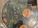 Lana Del Rey - Violet Bent Backwards Over The Grass - Vinyl LP Picture Disc NEW