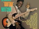 Johnny Guitar Watson