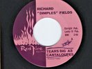 SWEET/NORTHERN SOUL  45    Richard 