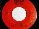 CHAPARRAL TRIO Roxanne 45 rpm RARE Houston Texas Garage Psych Fuzz LISTEN HEAR