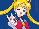 Pretty Guardian Sailor Moon: 30th Anniversary SOUNDTRACK Pink Colored Vinyl 2 LP