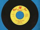 TERRY LEE 45 Hey Baby, Hey Sugar REVELERS Part III Red Fox 101
