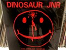 RARE 1989 DINOSAUR JR No Freak Scene LP VINYL J Mascis Deep Wound