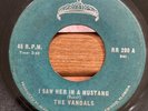 THE VANDALS I Saw Her In A Mustang/The Joker TIARA RR-200 RARE Garage/SURF 45 VG
