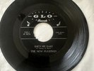 NEW FUGITIVES”45 rpm”1966 GARAGE ROCK -Matrix#G 5241 GLO Label VG+