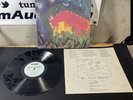Meat Puppets - II LP First Pressing SST 019 Album Vinyl FAST USA SHIP  Lake Fire