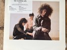 The Flaming Lips: Hear it Is-Original 1986 Vinyl Pink Dust Records w/Hype