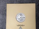 DJ Shog - Another World (12