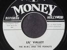 M-M'S & PEANUTS:  lil' valley / open up your eyes MONEY 7