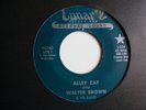 WALTER BROWN-jelly roll rock/alley cat,LUNAR,US,RARE old repro from 1973,MINT