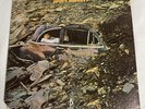 Jimmy Buffett - “Down To Earth” LP 1970 Barnaby Records RARE