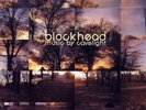 Blockhead - Music By Cavelight: 20 Year Anniversary (GREEN MARBLE VINYL) - DOWNT
