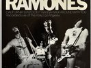 Ramones I Wanna Be Your Boyfriend Rare Stock Punk Rock Sire w, Pic Sleeve 45