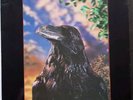 LP Stranglers  The Raven  3D-Cov.  1979 UA