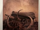 Clinging To The Trees Of A Forest Fire - Songs Of Ill Hope LP Swirl Vinyl