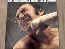 The Professionals/ I Didn't See It Coming - Vinyl LP - Sex Pistols - Virgin 1981