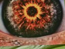 Breaking Benjamin Ember Vinyl unbespielt, neu