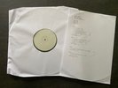 Roger Waters - Here in the Flesh Vol. 1 - Test Pressing - Vinyl - DLP
