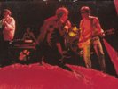 THE ANIMALS RIP TO SHREDS 1983 WEMBLEY FINAL LIVE 1ST PRESS LP NM HENDRIX