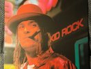 Kid Rock Vinyl LP devil without a cause - 2xLP ORANGE RARE FYE PRESSING