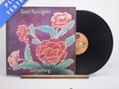 Todd Rundgren Something / Anything? A1 B3 Double LP Album Vinyl Record - VG+/VG+