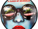 MINT A Flock Of Seagulls I Ran  7