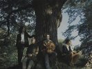 Mother Earth (90s) The People Tree UK vinyl LP album record