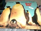 United Balls - Lieder Fremder Völker VINYL LP a la Pogo in Togo TOP + UNPLAYED