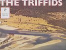 The Triffids-Born Sandy Devotional-Vinyl, LP-Limited Edition-Yellow Vinyl-WW '24