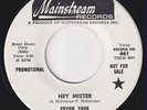 FEVER TREE * Hey Mister * USA PSYCH GARAGE * 1967 USA PROMO 45 * Listen
