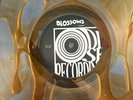 Blossoms - Gary - Limited Edition Orange Liquid Filled Vinyl LP Bad World New