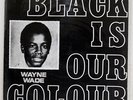 WAYNE WADE BLACK IS OUR COLOUR VIVIAN JACKSON (YABBY YOU) NONE JAMAICA VINYL LP