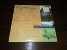 Poi Dog Pondering- Wishing Like A Mountain Thinking Like The Sea LP - New Sealed