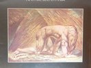 Atomic Rooster – Death Walks Behind You 1st Press English Import LP, Vinyl 1970