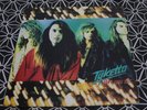TYKETTO Don't Come Easy LP 1991 ORIGINAL NEAR MINT AOR  HARD ROCK