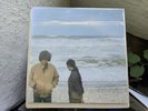For Lovers Vinyl LP