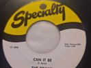 45 RPM THE TITANS Can It Be b/w Don't You Just Know It SPECIALTY Nice Example