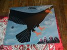 SEALED NEW TUCKY BUZZARD LP 1971 S/T BILL WYMAN PRODUCED  ST-787 ROCK