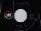 Northern Soul 45 - Alder Ray - I Need You/My Heart Is In Danger - Minit VG+