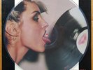 Blondie Parallel Lines import US picture disc with sleeve & rare hype stickers